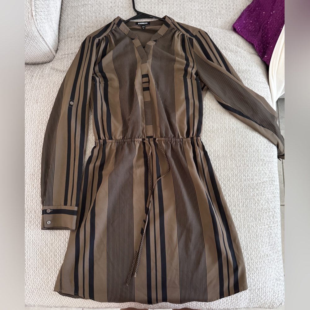 Express Brown and Black Striped dress